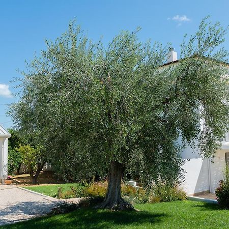 B&B Casale Savini Ortona Esterno foto